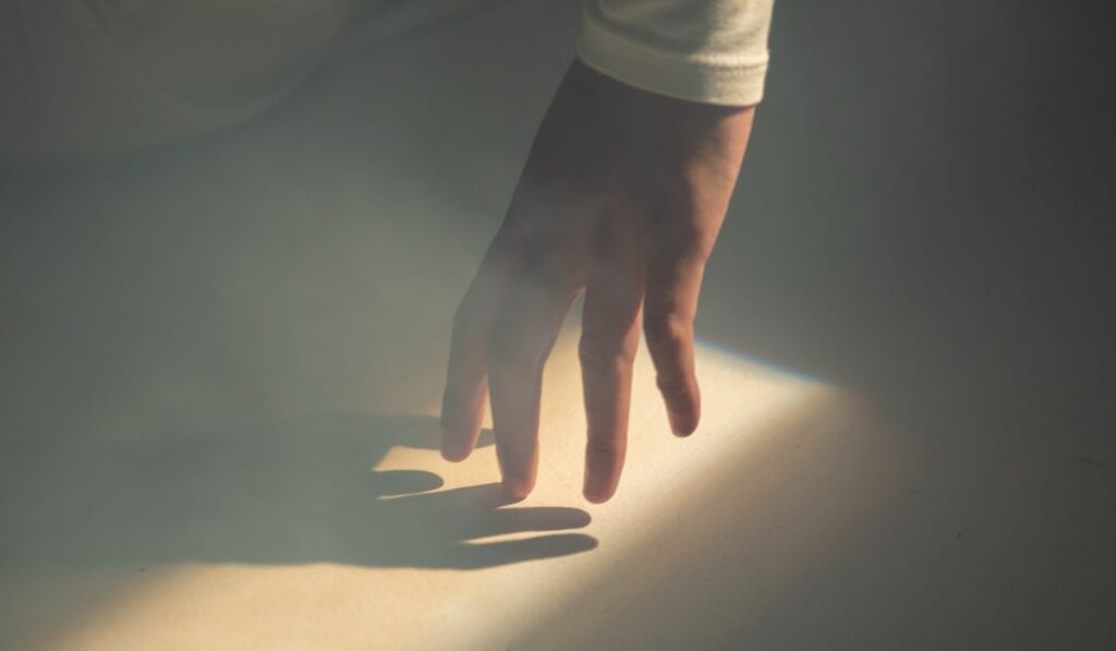 How to Work With Your Shadow in Dreams Soul Sessions Podcast Episode