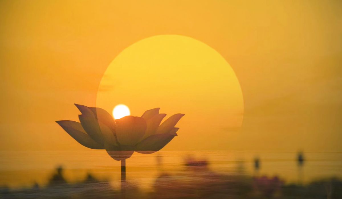 Ami Ganatra on The Wisdom of the Mahabharata