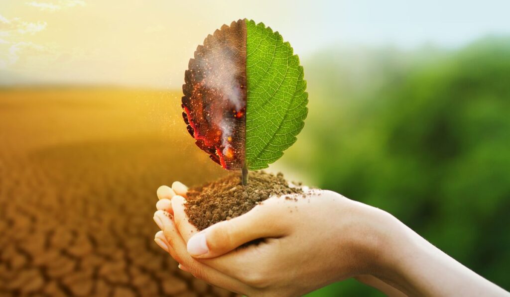 In this episode, we discuss how our relationship with our mother impacts our connection to the environment.