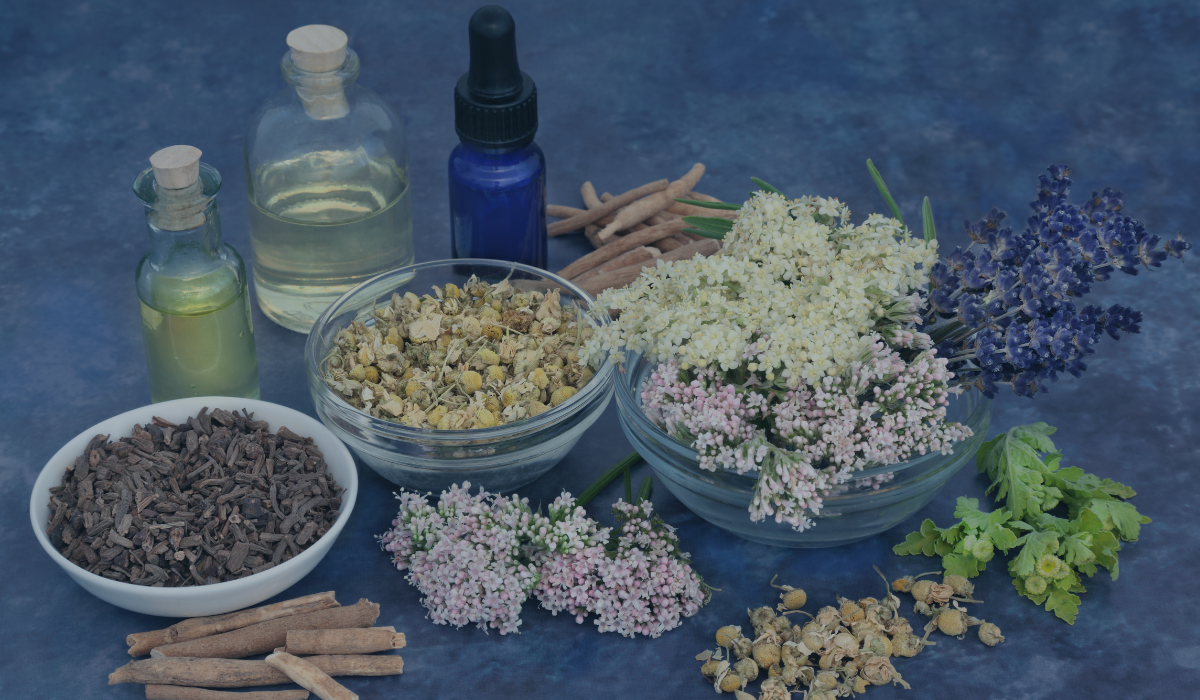 Spiritual Awakening: Plant Medicine and Jungian Psychology