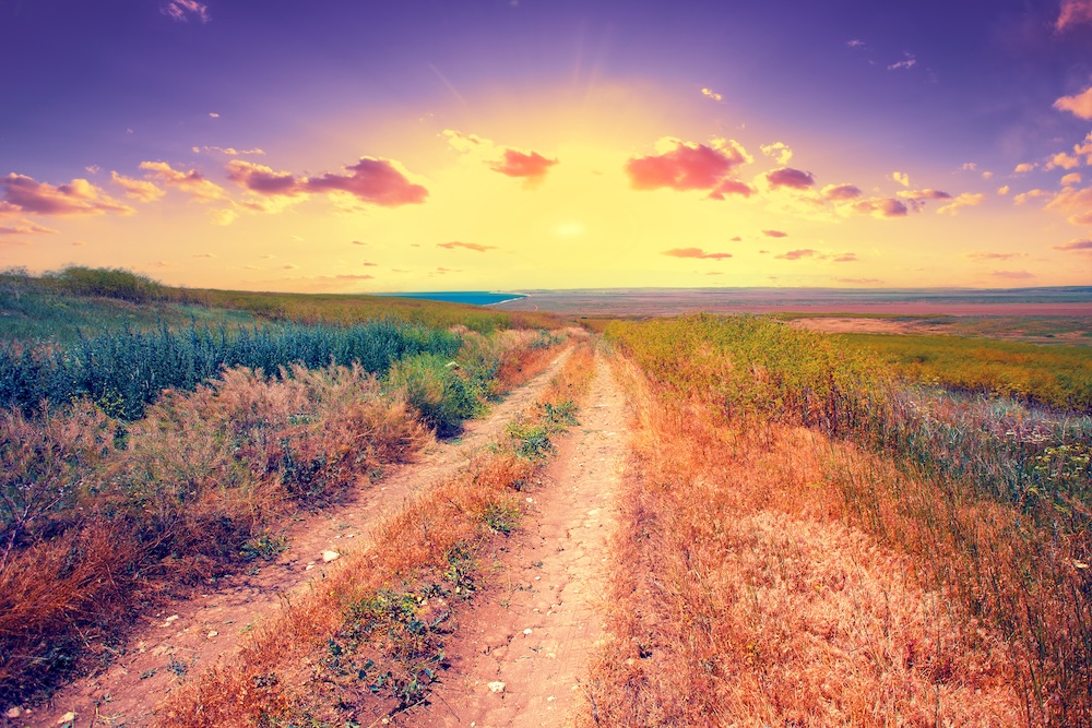 Unlocking Potential: How Shadow Work Leads to Purpose