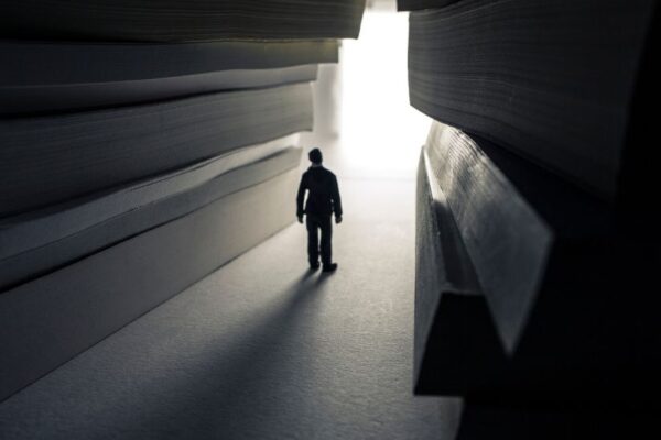 Path of the satya leader