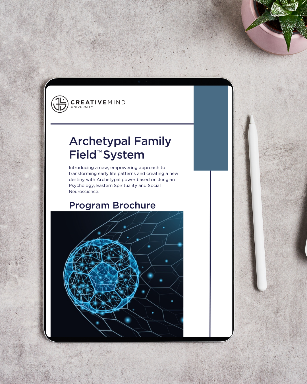 Archetypal Family Field System Brochure
